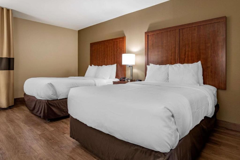 Double Room with Two Double Beds - Non-Smoking