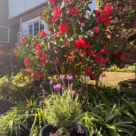 Westbourne Lodge Birmingham-3